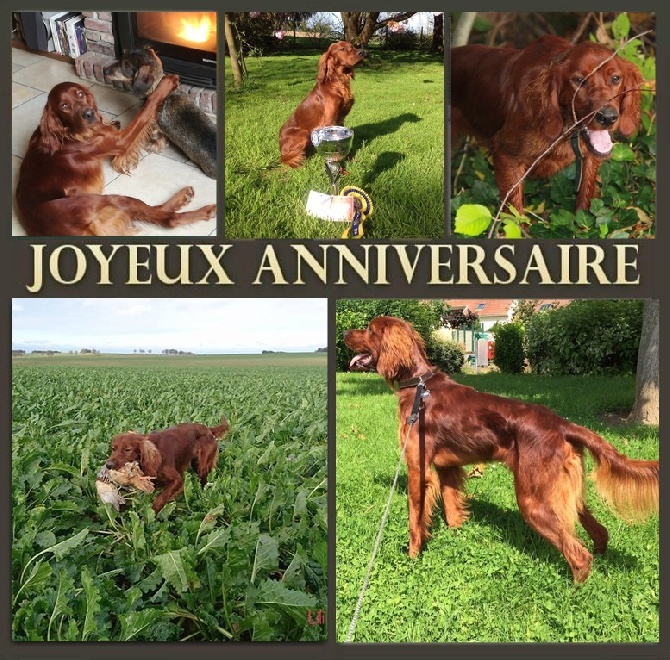 de la flache du pont - Joyeux anniversaire !! 2ans 