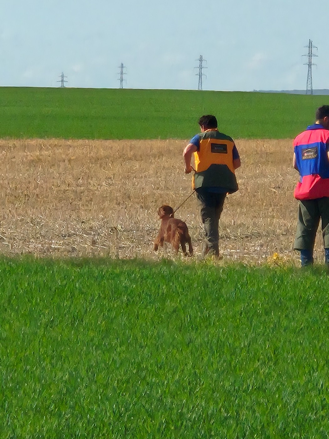 Aubeterre Priska 1er EXC CACT