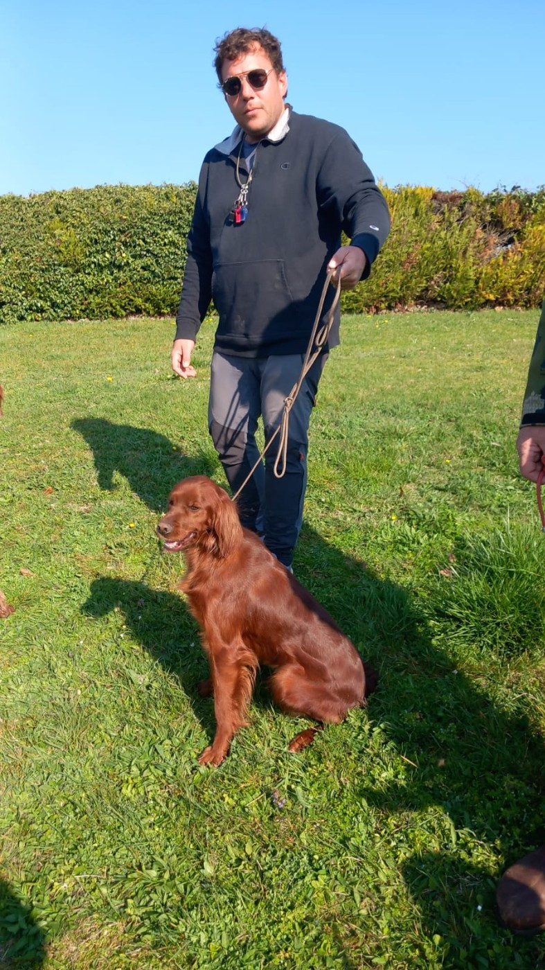 de la flache du pont - CHAMPIONNAT D'EUROPE SETTER IRLANDAIS