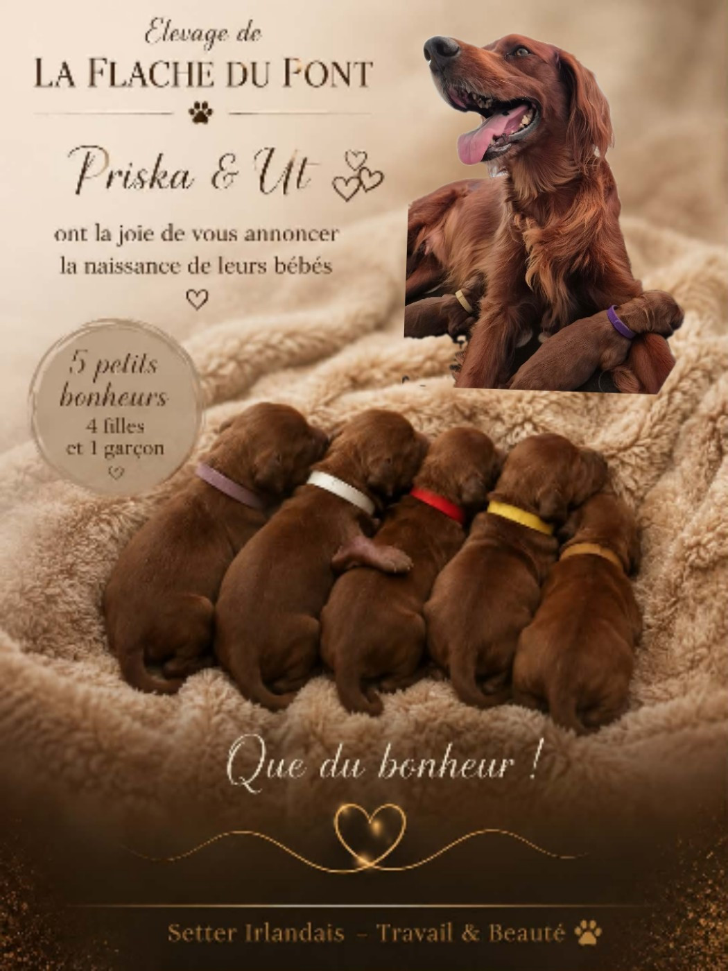 Naissance des bbs