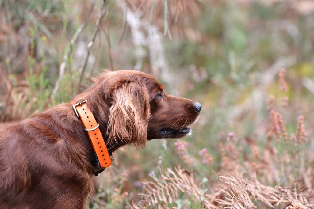 de la flache du pont - Priska  3e EXC en couple 