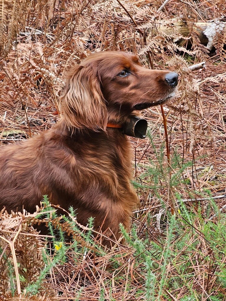 de la flache du pont - Priska  3e EXC Le Porge 20 Octobre  